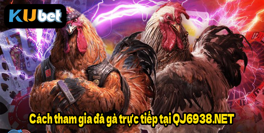 Cách tham gia đá gà trực tiếp tại QJ6938.NET