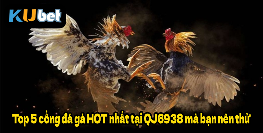 Top 5 cổng đá gà HOT nhất tại QJ6938 mà bạn nên thử